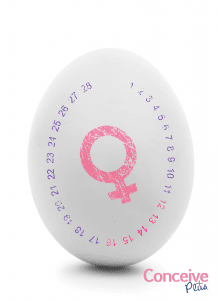 Ovulation conceive plus